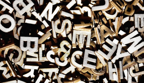 business name search