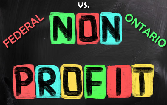federal vs ontario Non Profit Companies