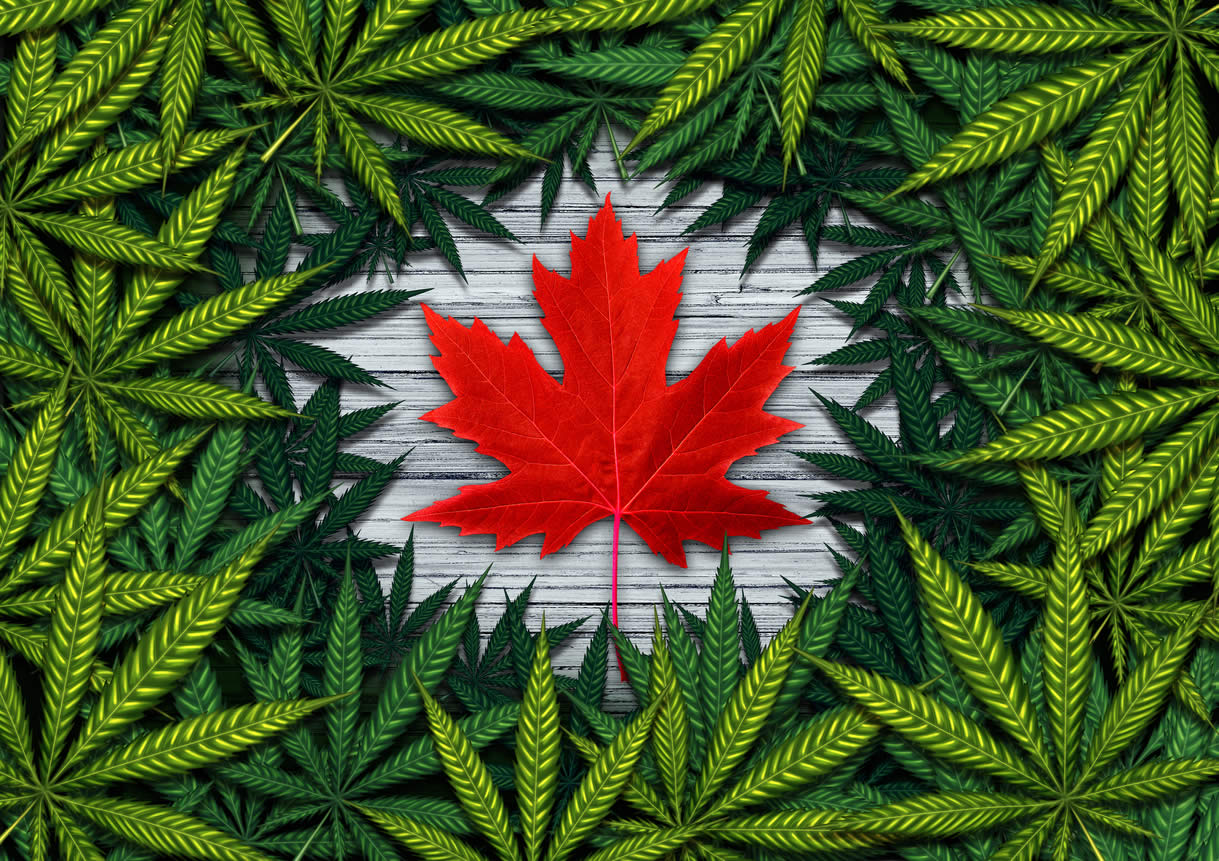 marijuana canada