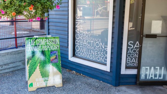 pot cannibis business pot cannibis business