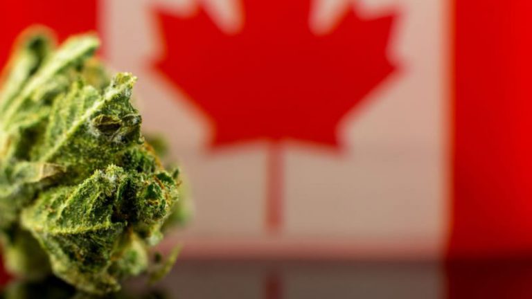 Cannabis and Saskatchewan