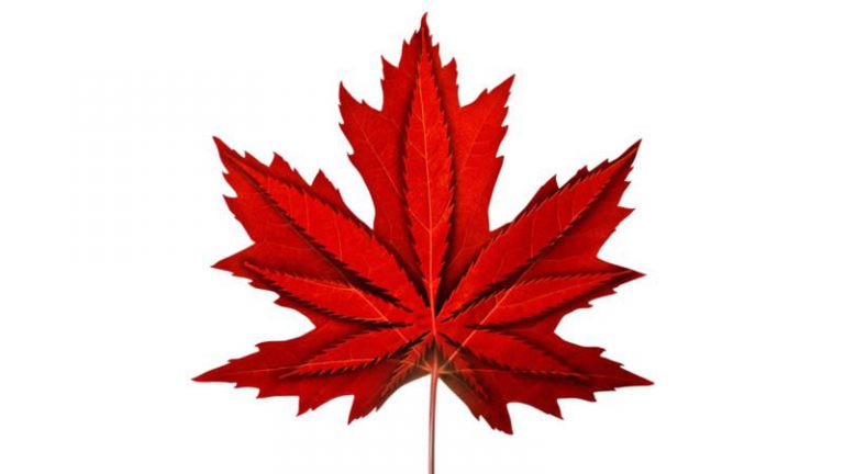 Cannabis Regulations in Alberta