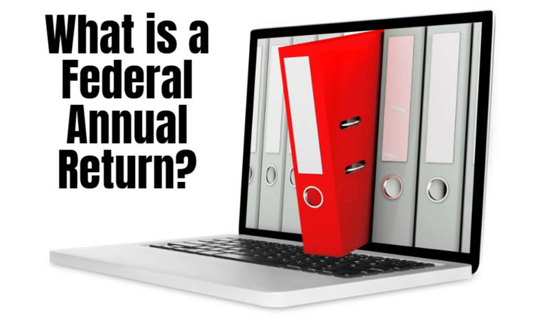 what is a federal annual return