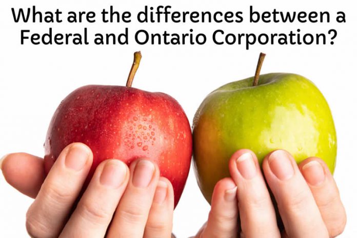 What Are The Differences Between A Federal And Ontario Corporation 
