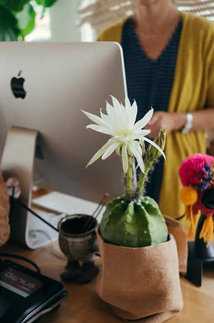 woman on mac computer