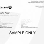 profile report sample