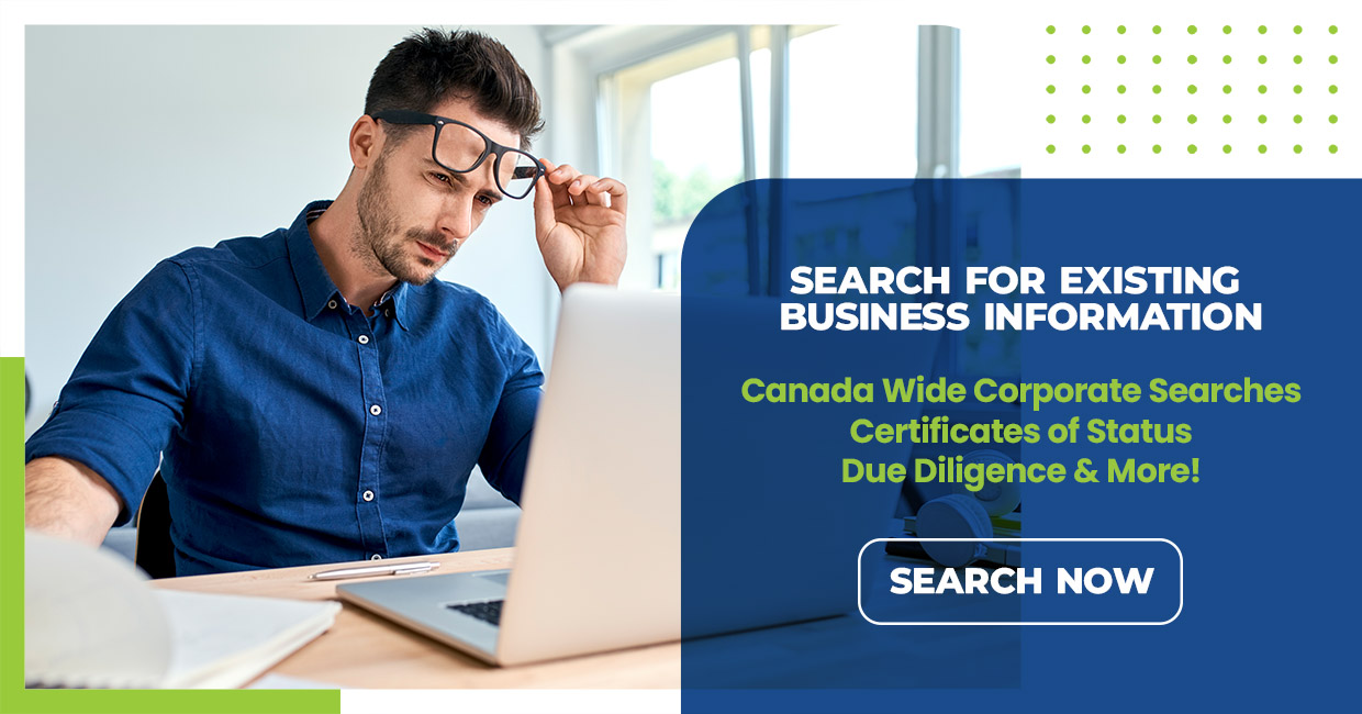 search for existing business information