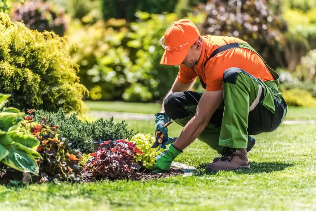 A landscaper wearing an orange shirt and hat tends to a garden, surrounded by plants and soil.