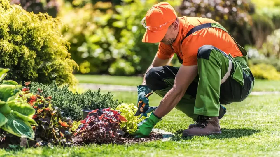 A landscaper wearing an orange shirt and hat tends to a garden, surrounded by plants and soil.