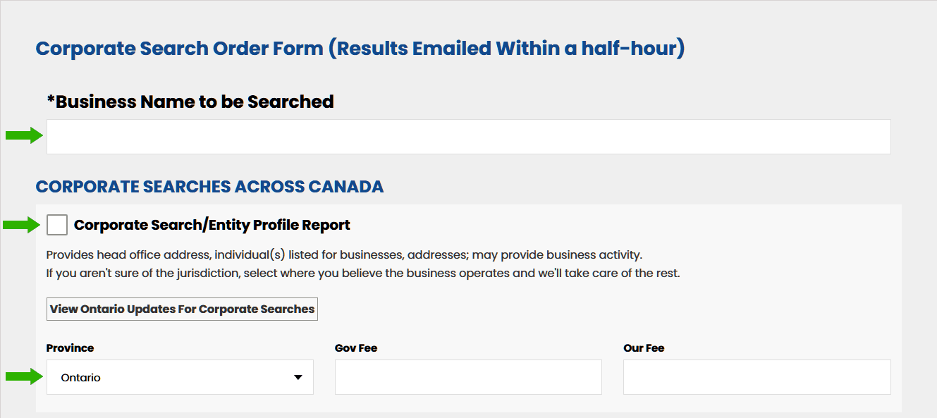 corporate search webpage example