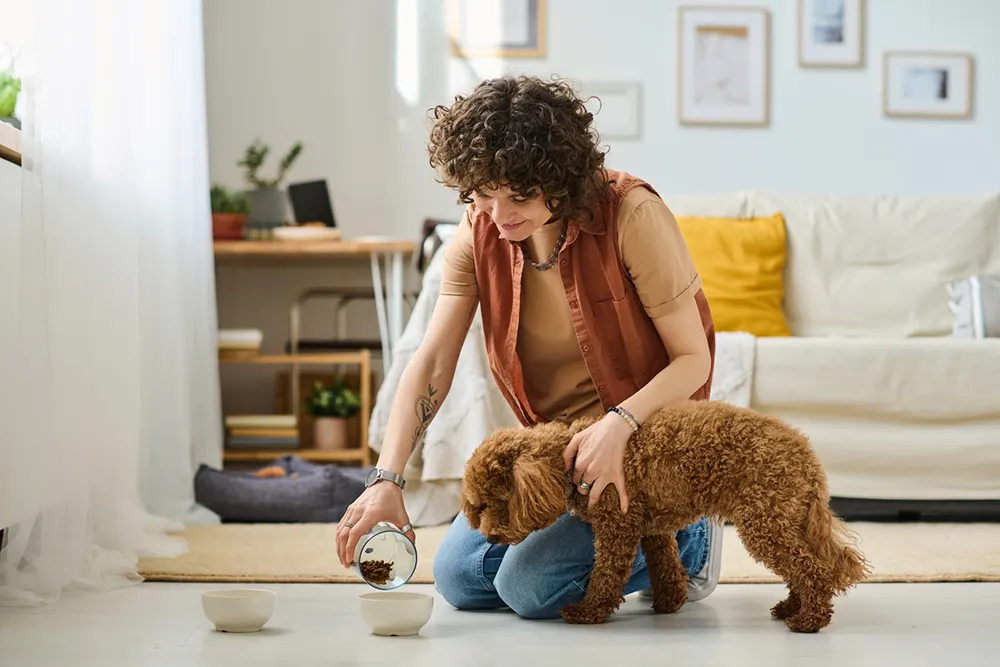 woman with dog - pet sitting business
