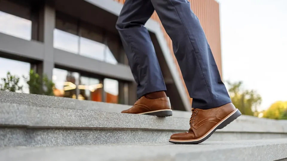 Professional taking next steps after incorporation in Ontario business compliance