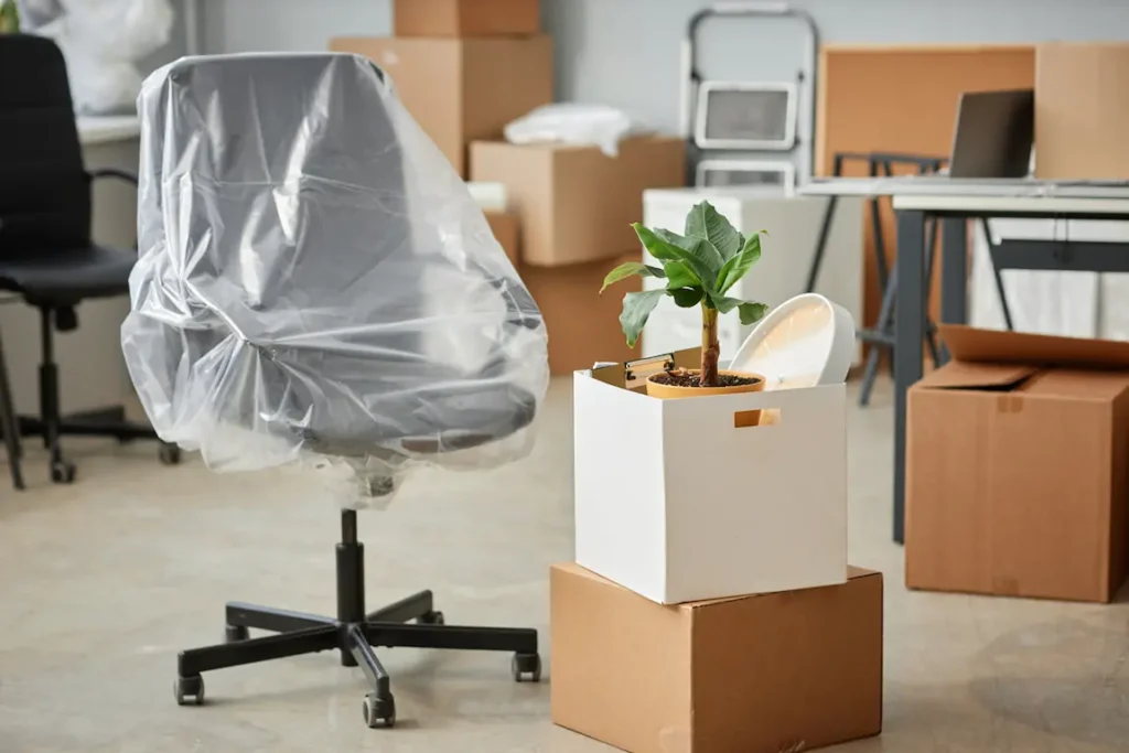 A cluttered office featuring a chair, a plant, and stacked boxes, reflecting the dissolution of the company.