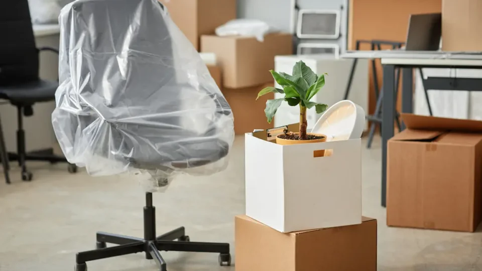 A cluttered office featuring a chair, a plant, and stacked boxes, reflecting the dissolution of the company.
